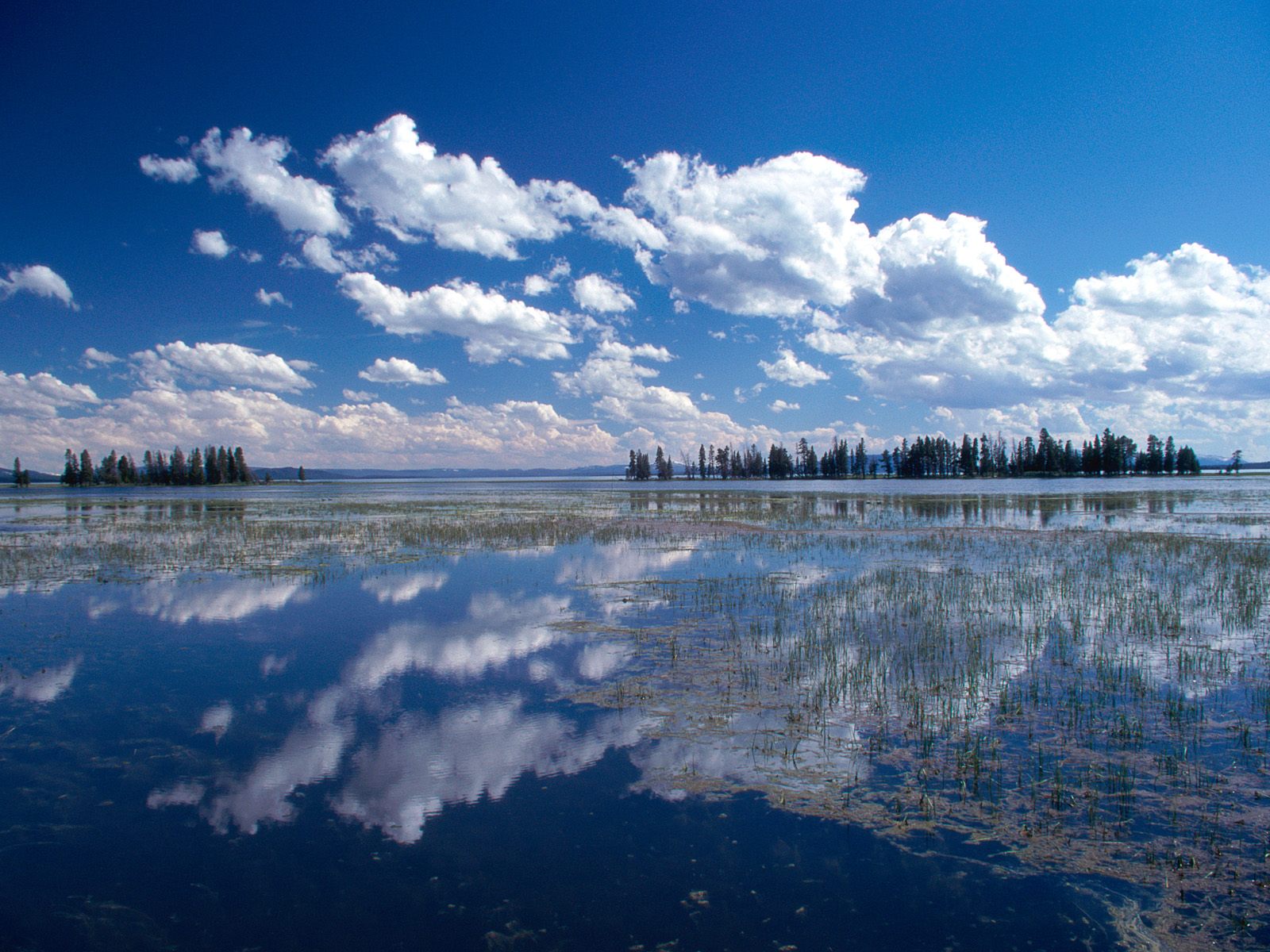 Yellowstone-Lake-Yellowstone-National-Park-Wyoming