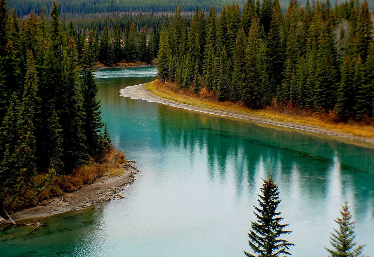 bow-river-canada-forest-219972